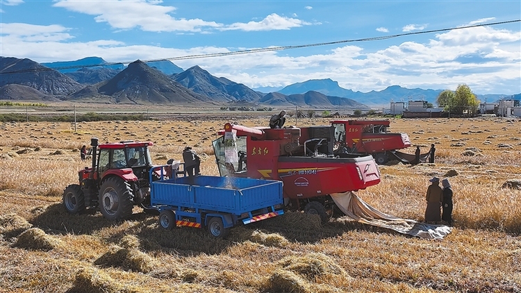 林周县秋色宜人 秋景如画