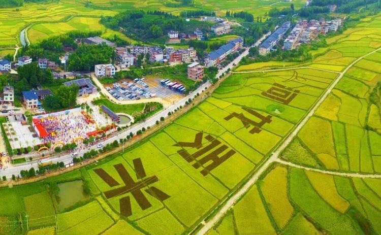 福建宁化：“红色粮仓”续写新时代答卷
