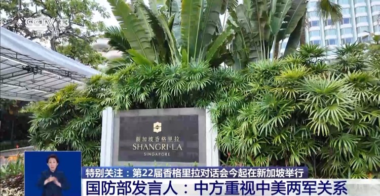 国防大学代表团应邀参加第22届香格里拉对话会