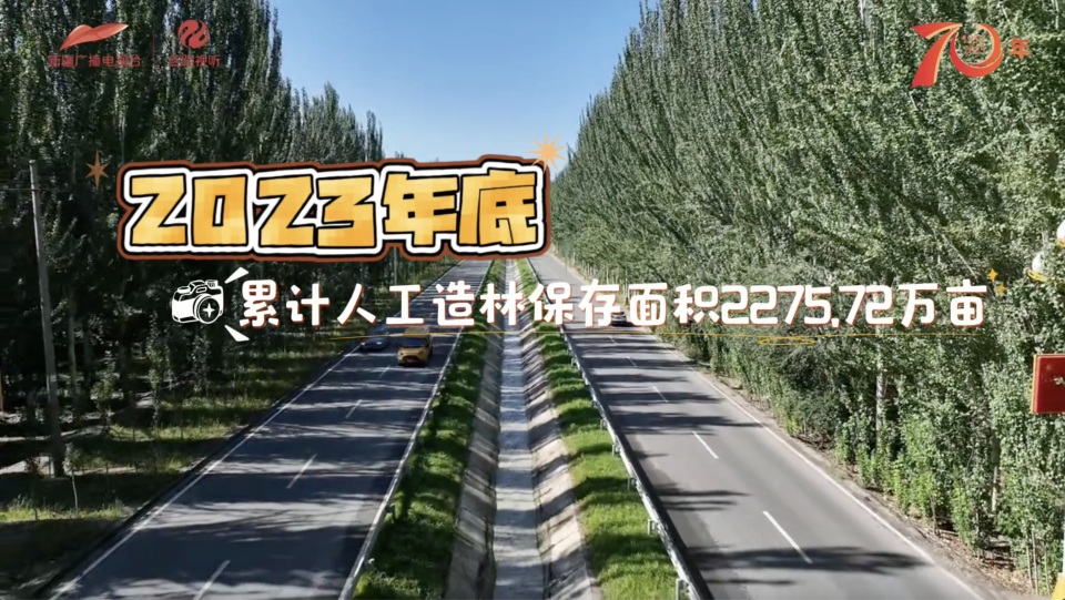 砥砺奋进七十载 天山南北谱华章 | 千万亩绿 数十载功