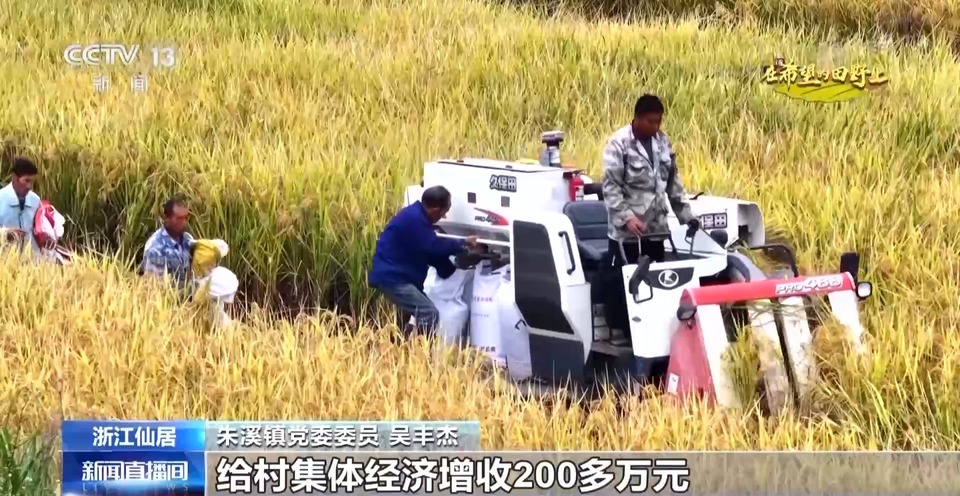大丰收！全国多地同太空水稻一起传来丰收消息
