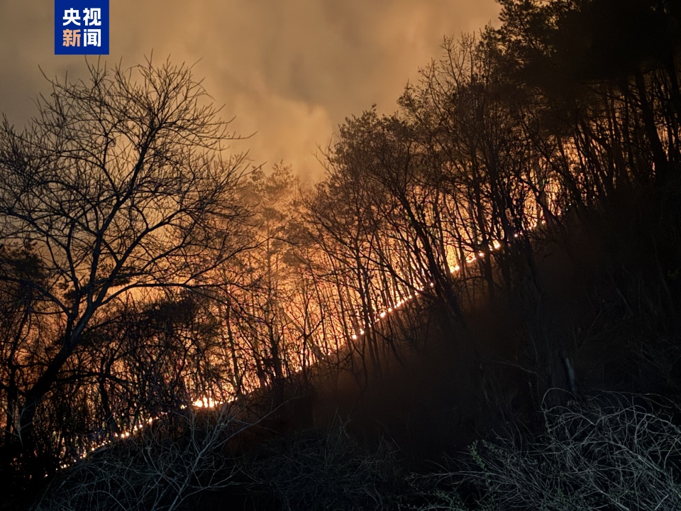 总台现场直击丨韩国山火仍在蔓延 夜间救援束手无策