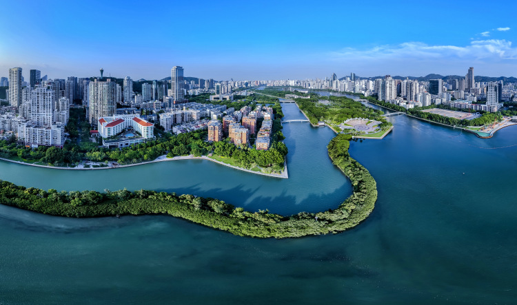 “我们从事现代化经济建设，要有长远考虑，统筹全局”