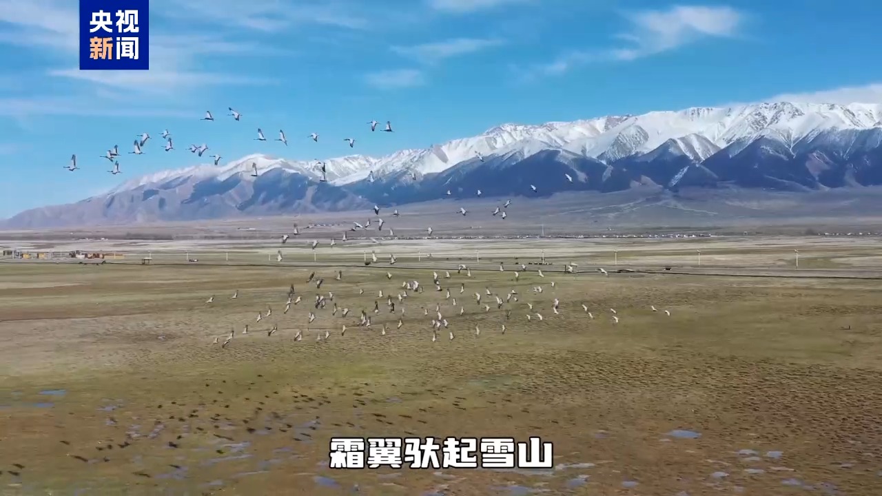 新疆草原美景好治愈！推荐五一打卡好去处→