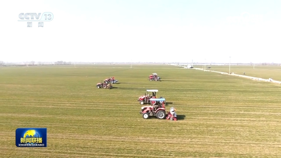 【在希望的田野上】我国冬小麦春季田间管理大面积展开