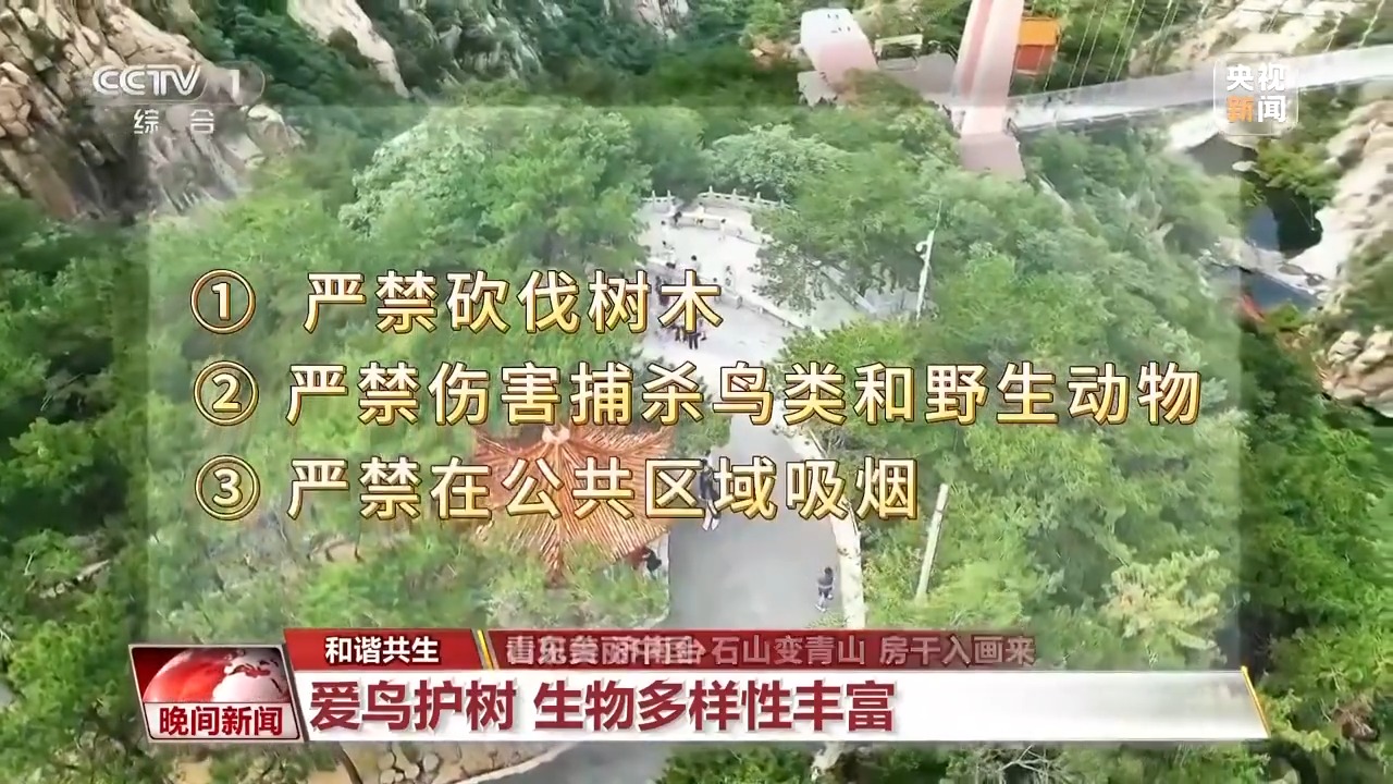 看见美丽中国丨炸水泥厂、种万棵树！“石头村”20年逆袭97%森林覆盖