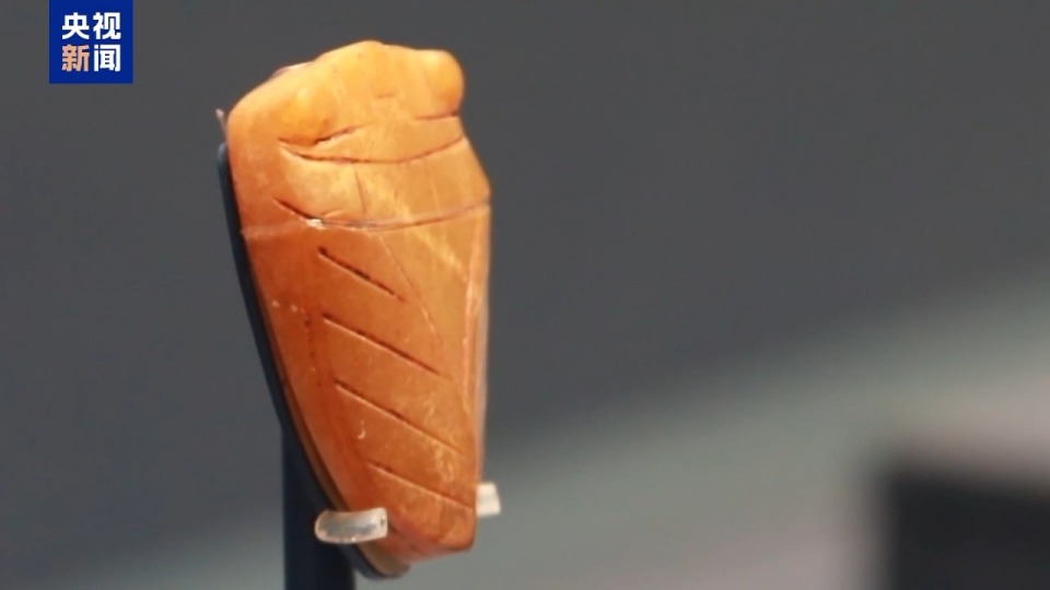 文化中国行丨从“蜩始鸣”到“寒蝉鸣” 从文物中感受节气之美