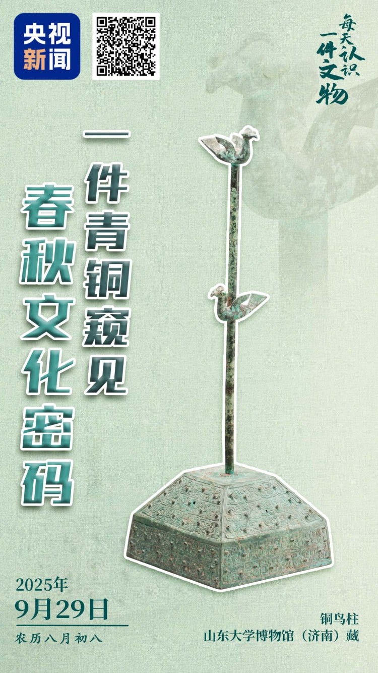 校馆弦歌·文博日历丨山东大学收藏的这两只小鸟 已经飞了2800多年
