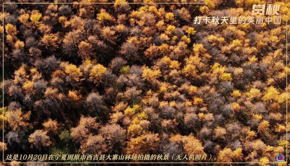 赏秋图鉴,解锁秋天的N种打开方式!