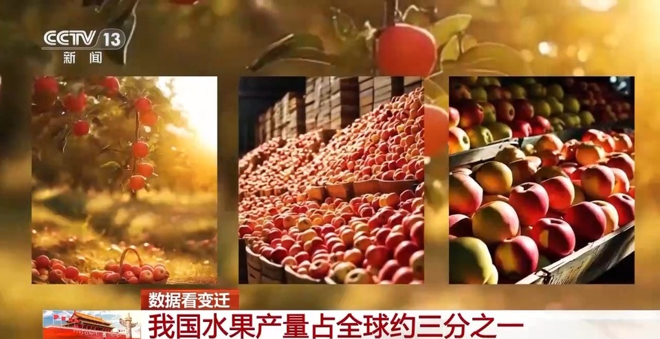 一组数据看变迁！我国水果产量占全球约三分之一