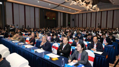 Two Major Cultural IPs Join Forces for the First Time as 2026 Gansu Qingyang Qihuang Cultural Forum Opens in Qingcheng