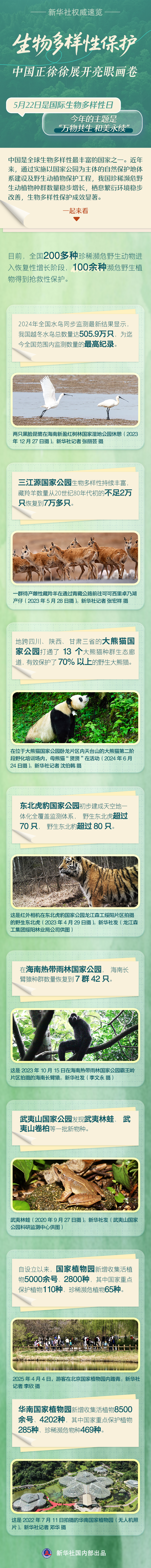 新华社权威速览｜生物多样性保护，中国正徐徐展开亮眼画卷