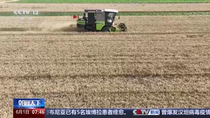 视频丨三夏“麦收地图”更新 全国已收小麦7613万亩