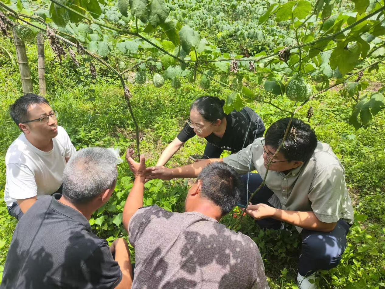 湖南城步 “引育留用”齐发力 激活苗乡人才新动能_fororder_1