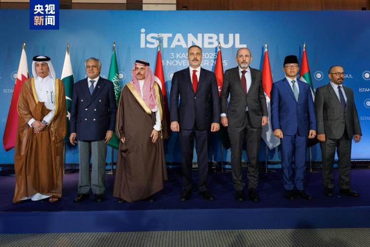 加沙问题部长级会议在伊斯坦布尔举行