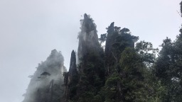 家在莽山脚下 共护一山春色（稿件还在送审）