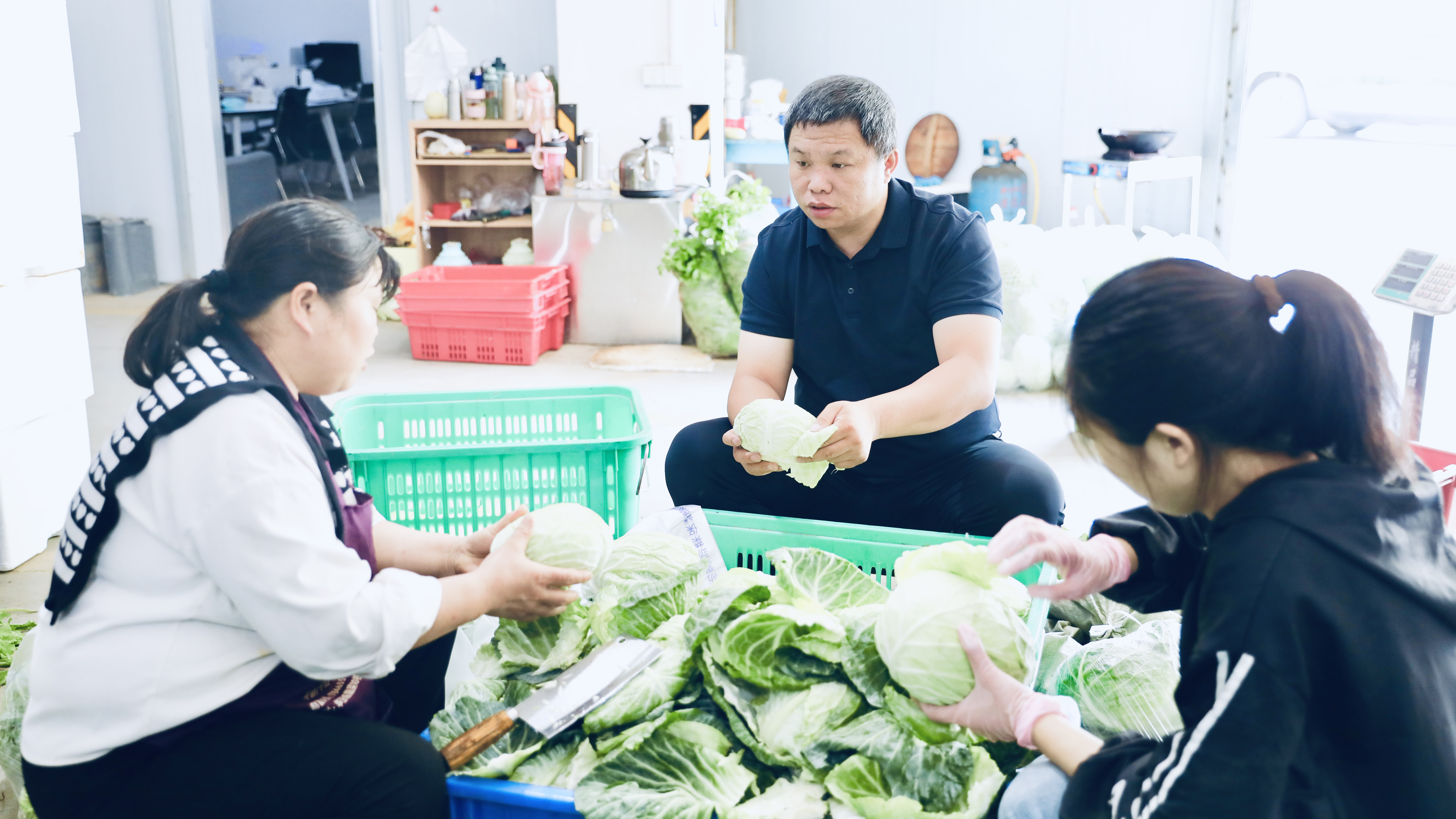 荒坡变 “金坡” “头雁”带头人王镇的蓝图美景