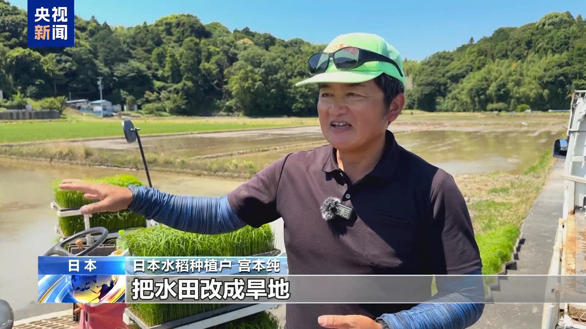 总台记者观察丨日本米农：种植面积锐减、成本上涨 米价难降