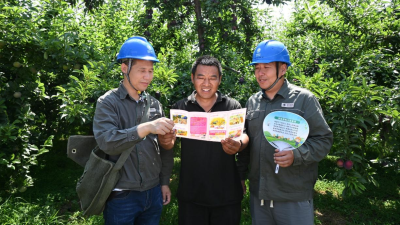 Henan Jiaozuo: Reliable Power Supply Safeguards the Entire Process of Fresh Fruits Entering the Market