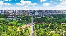 绘就和美底色 共筑宜居家园