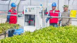 国网张掖供电公司：科技赋能薯业 电力护航“薯未来”