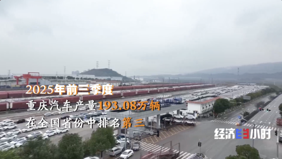 视频丨中国物流如何“规模涨、成本降”？