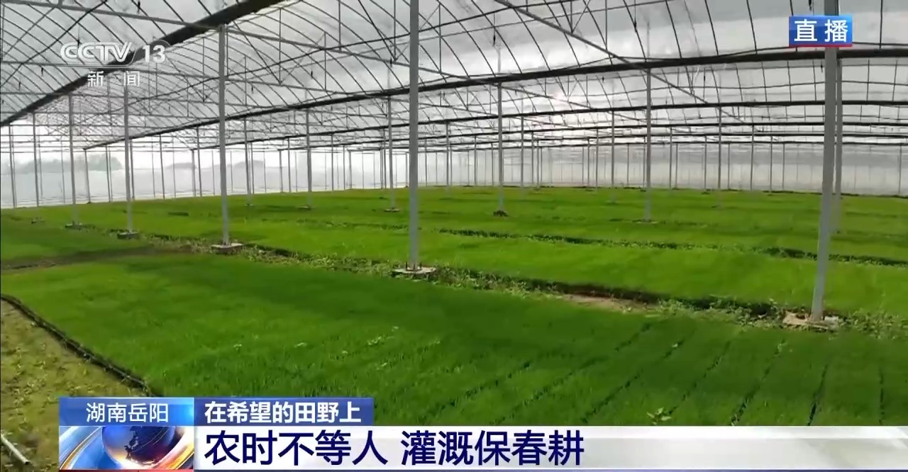 湖南华容团洲垸复垦还田 春耕进入高峰期