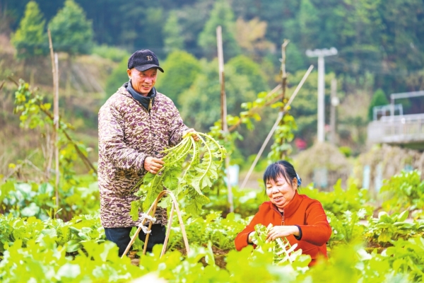 谱写茶乡巨变新篇章 ——湖南省委宣传部（省文资委）系统乡村振兴对口帮扶安化县纪实_fororder_res07_attpic_brief