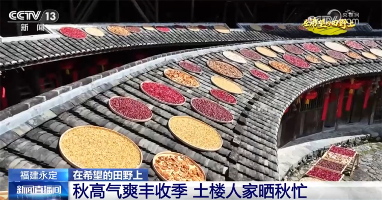 广袤乡村绘就金秋九月好“丰”景 农业现代化成为百姓增收致富“密码”