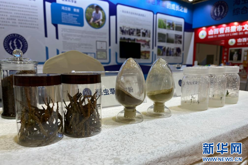 种在盐碱地、灌溉用海水 这样的“海水蔬菜”好吃吗？