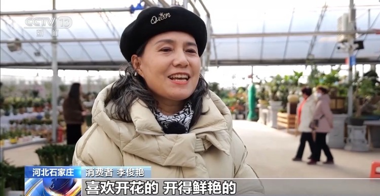 新年“好市”多！非遗集市人气旺 创意年宵花热销中