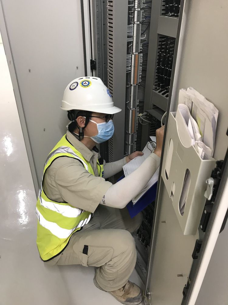 资讯有故事丨保护珊瑚和海龟 中企在迪拜承建的电站引领绿色能源之路