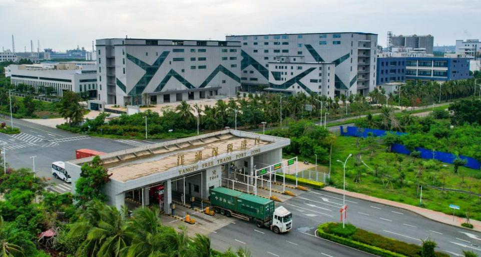 海岛新程｜政策红利释放 助力企业降本增效