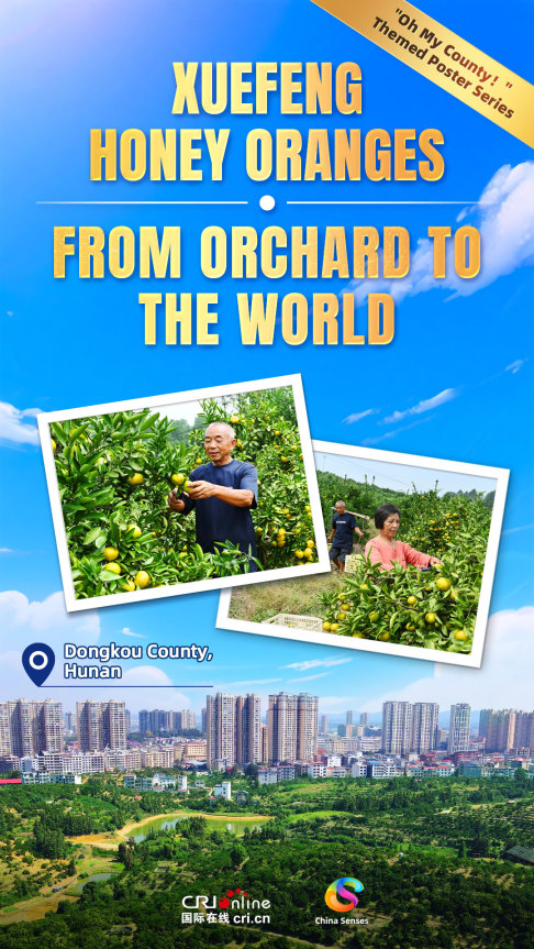 Oh My County ! 不可“县”量 | 雪峰蜜桔 从枝头到全球_fororder_雪峰蜜桔-1080x1920-英(1)