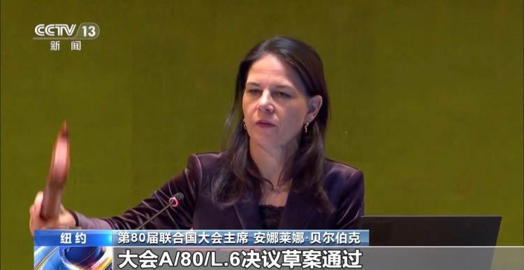 视频丨联合国称将加大对加沙人道主义援助