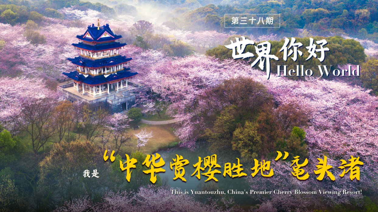 Hello, World! This is Yuantouzhu, China’s Premier Cherry Blossom Viewing Resort!_fororder_1