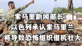 视频 | 索马里新闻部长：以色列承认索马里兰将导致恐怖组织借机壮大