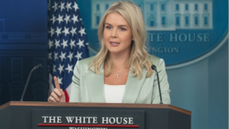 白宫称正联合调查“移民执法”枪击致死案 特朗普与沃尔兹通话_fororder_白宫发言人