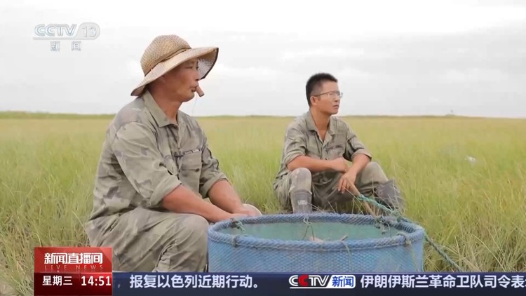 文化中国行丨捕鸟人→护鸟人 他用非遗鸟哨守护东滩