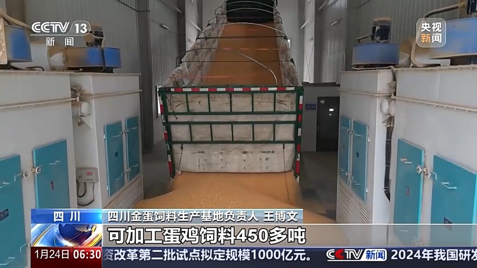秋粮入仓忙 看科技如何赋能“大国粮仓”