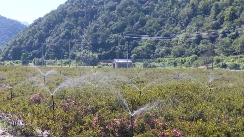 新华视点｜各地多维度发力 多元探索绘就乡村振兴新画卷_fororder_5点燃