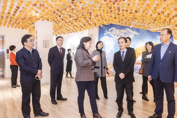 履职一年间 | 全国政协委员舒勇：文化为桥 连接世界