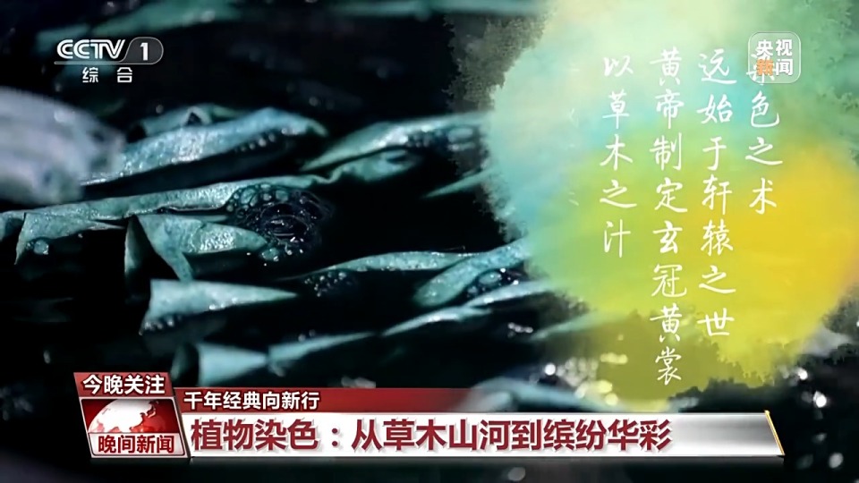 千年经典向新行丨绿植成绿、苏木提红 一草一木染出惊艳“中国色”