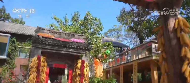 “丰收消费”打造农文旅融合新场景、新业态 打开田间地头增收新空间