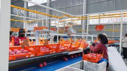 天水秦安魏店镇：强村公司激活产业新动能