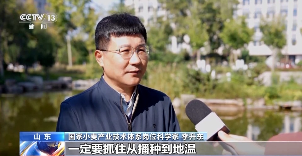 小麦播种“慢半拍”？做好这几点为来年丰收打基础