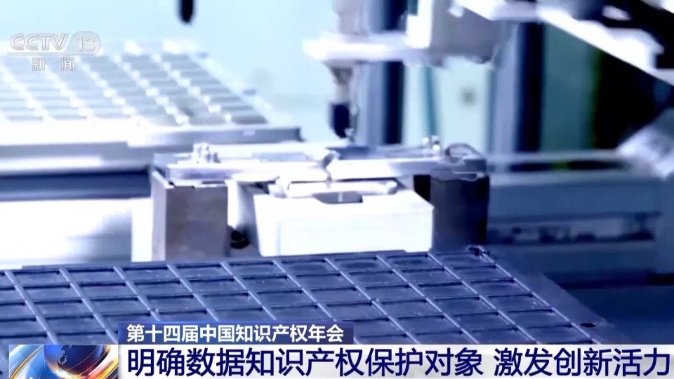 去年我国数据生产总量占全球26.67% 数据知识产权如何保护好？
