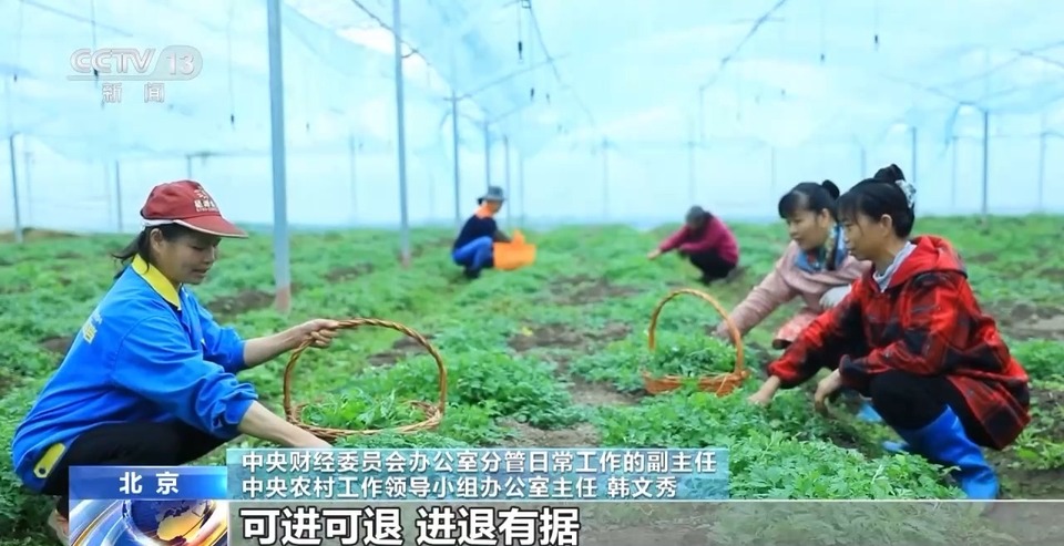 如何完善城乡融合发展体制机制？中央一号文件作出部署→