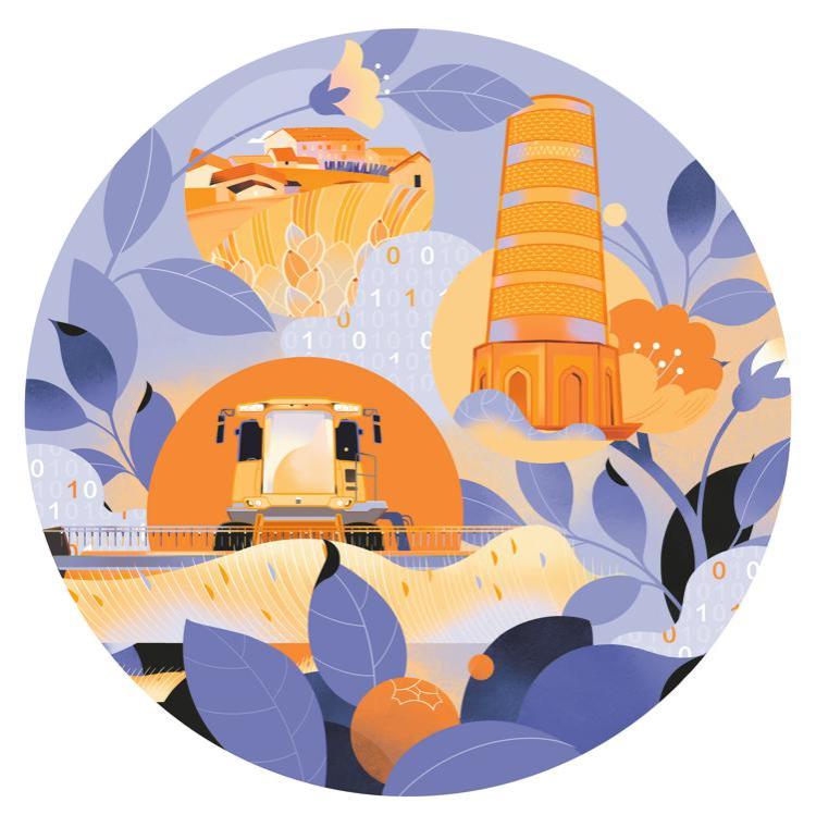 中国棉如何在乌兹别克斯坦开花结果？乌农业部长点赞背后的故事