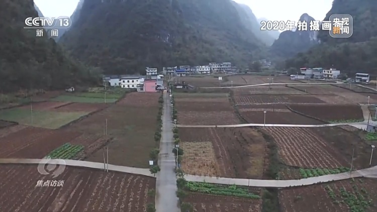 焦点访谈丨看中国这个县如何用“科技+制度+人力”守牢防返贫底线